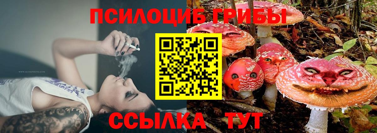 Галлюциногенные грибы Psilocybine cubensis  Вход с VPN  Галлюциногенные грибы Cubensis  Верхний Уфалей 